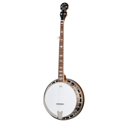Epiphone Mastertone Classic Banjo in Natural